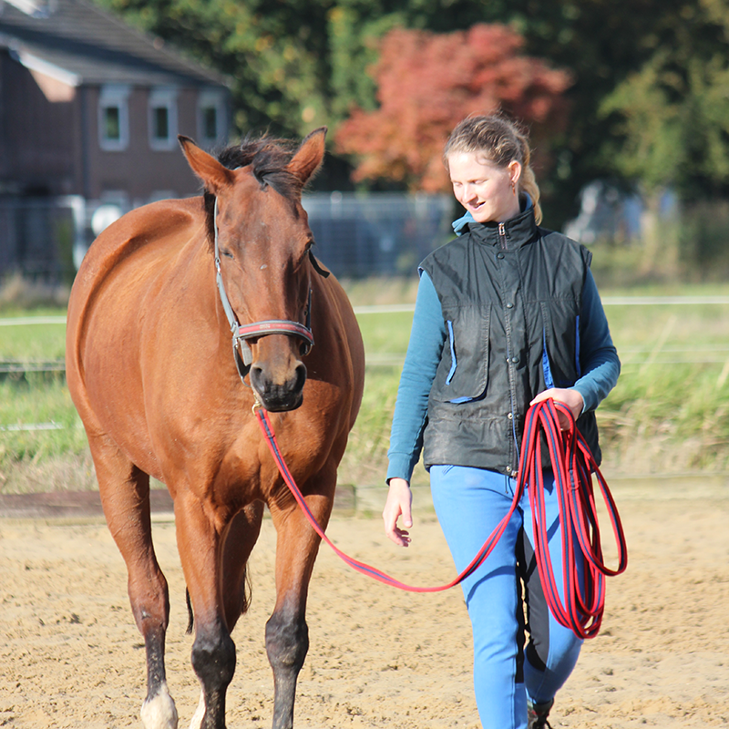 Die Fotografin Mira Unkelbach läuft neben einem braunen Pferd über einen Reitplatz. Das Pferd ist an einer Longe, welche die junge Frau in ihrer linken Hand hält.